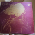 The Groupies LP - pikkukuva 1