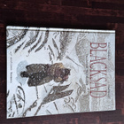 Blacksad kovakantiset - pikkukuva 4