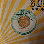 Billy Lee Riley sinkku - pikkukuva 1