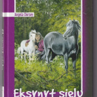 Angela Dorsey: Eksynyt sielu - pikkukuva 1