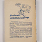 Väestöpoliittinen tutkimuslaitos (Finland) : Asunto-olomm... - pikkukuva 2