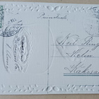 Valpas kana vahtii munakoriaan, p, 1908 - pikkukuva 2