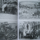 The Polish 1st Armoured Division 1939-47 - pikkukuva 3
