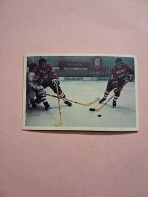 Panda. Jääkiekkokoulu. 56.