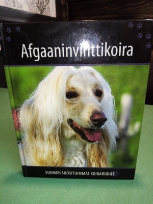 AFGAANINVINTTIKOIRA suomen suosituimmat koirarodut