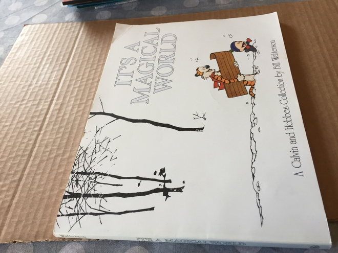 CALVIN AND HOBBES ITS A MAGICAL WORLD HYVÄ