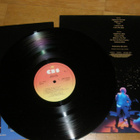 Bob Dylan - Real live - LP - pikkukuva 2