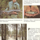 SUOMI - kuva : "Saimaan Lohi" Pielisjoessa. Ei kulk. - pikkukuva 3