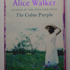 Alice Walker - The Color Purple - pikkukuva 1