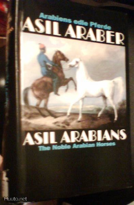 Asil Araber, ASIL ARABIANS IV - Arabians edle Pferde...