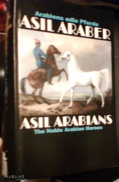 Asil Araber, ASIL ARABIANS IV - Arabians edle Pferde...