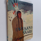 Elmer Horn : Intiaanisaari : seikkailuromaani - pikkukuva 1