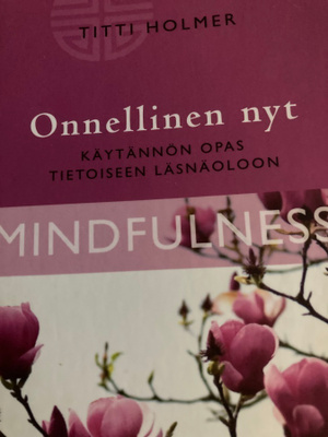 HOLMER: KÄYTÄNNÖN OPAS TIETOISEEN LÄSNÄOLOON