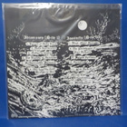 BESTIAL MOCHERY - GOSPEL OF THE INSANE EX-/M- FRA 2006 LP - pikkukuva 2