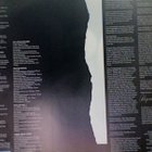 ALYSON WILLIAMS :: RAW :: VINYYLI LP 1989 - pikkukuva 3