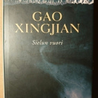 Gao Xingjian - Sielun Vuori - pikkukuva 1