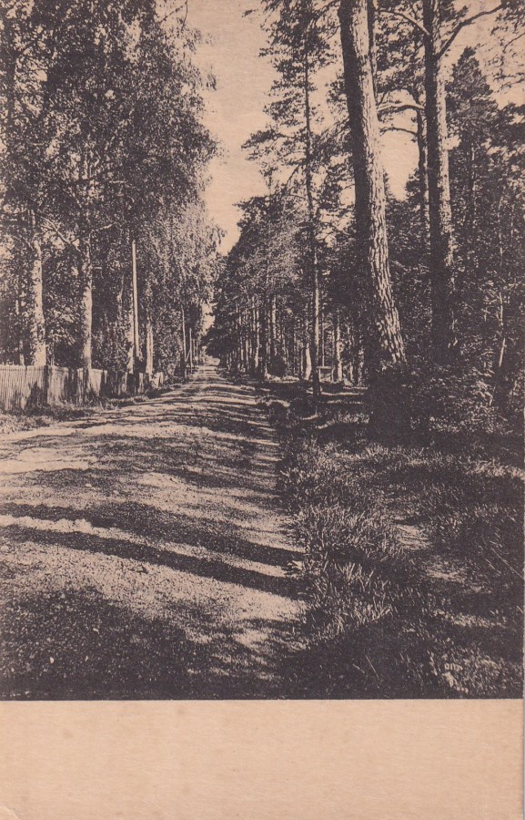 Lovisa Loviisa Maisema Kasinopuistosta ,  b491