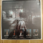 THE DICTATORS : Bloodbrothers - LP - pikkukuva 2