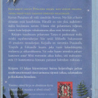 Michelle Harrison: 13 kirousta (Keijutrilogia 2) poistokirja - pikkukuva 3