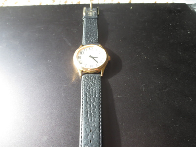 Miesten Rannekello Arsa, Quartz, Swiss Made