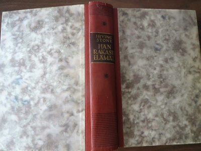 Irving Stone: Hän rakasti elämää