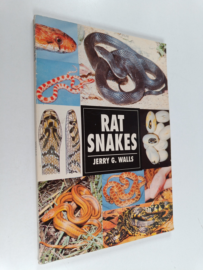 Jerry G. Walls : Rat snakes