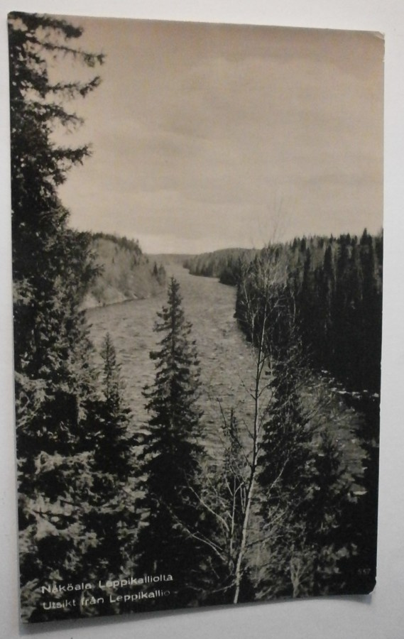 Muhos, näköala Leppikalliolta, SMY nro  657, ei p.