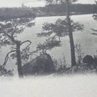 Leppävirta - pikkukuva 3