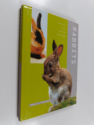 Hans Schippers : Rabbits