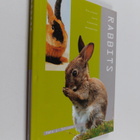 Hans Schippers : Rabbits - pikkukuva 1