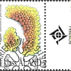 Åland 1999 Jäkäliä 1. lk välilöpari logo EPL LaPe 160 - pikkukuva 1