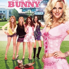 House Bunny	(46 452)	UUSI	-FI-	suomik.	DVD		anna faris	2008 - pikkukuva 2