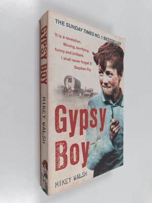 Mikey Walsh : Gypsy boy