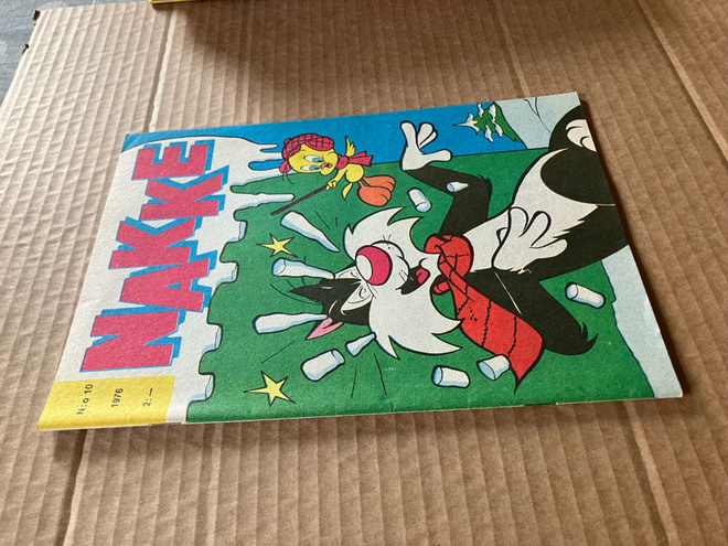 NAKKE 10/1976 HYVÄ