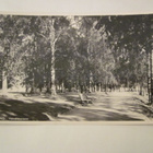 VANHA Postikortti Kuopio 1950-l Alkup.Mallikappale - pikkukuva 1