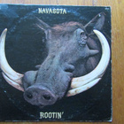 Navasota – Rootin' (rare southern rock-vinyyli 1972) - pikkukuva 1