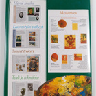 Taiteen mestarit 1-2 : Osa 1 : Van Gogh ; Osa 2 : Leonard... - pikkukuva 2