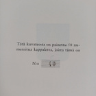 Birger Boström : Hauensuolen kivipiirrokset (numeroitu) - pikkukuva 2