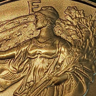 2007 American Silver Eagle One Dollar 1 OZ Fine Silver 31,1g - pikkukuva 5