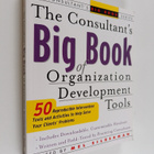 Mel Silberman : The Consultant's Big Book of Organization... - pikkukuva 1