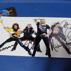 STEEL PANTHER KUVA KOKO BÄNDIN NIMMAREILLA - pikkukuva 1