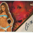 Bench Warmer 2008 Limited Autograph Cat Miller nimmari - pikkukuva 1