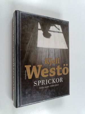 Kjell Westö : Sprickor - Valda texter 1986-2011