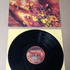PAUL MCCARTNEY  FLOWERS IN THE DIRT LP - pikkukuva 1