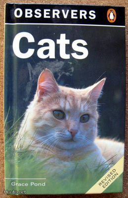 Grace Pond: Cats