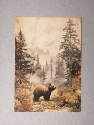 Karhu metsässä