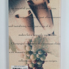 Sara Slavin ym. : Champagne, the Spirit of Celebration - pikkukuva 2