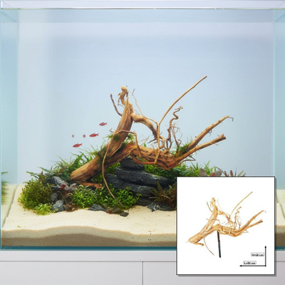 Uniikki akvaariojuurakko 55 cm | P142618