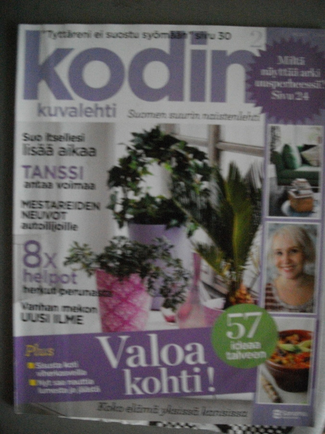 Kodin Kuvalehti Nro 2/2010 (17.3)