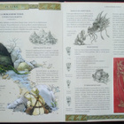 Dragonologia - Suuri Lohikäärmekirja (4p. 2006) - pikkukuva 5
